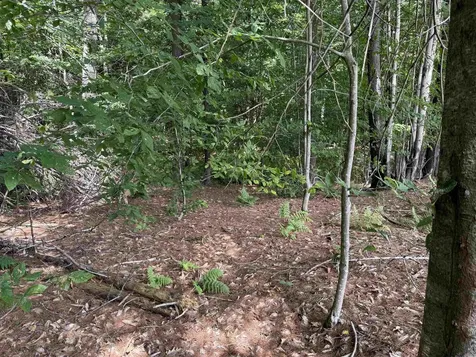 0 Hoey Road Cavendish VT 05142