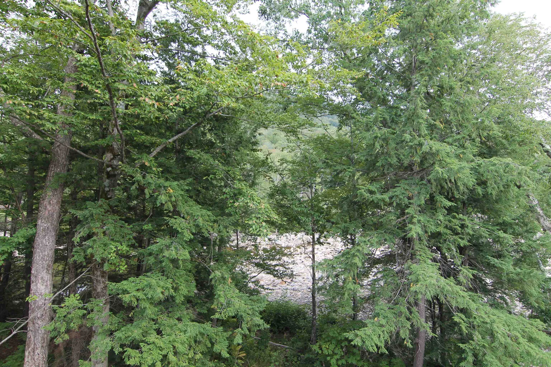 57 West Branch Road Lincoln NH 03251