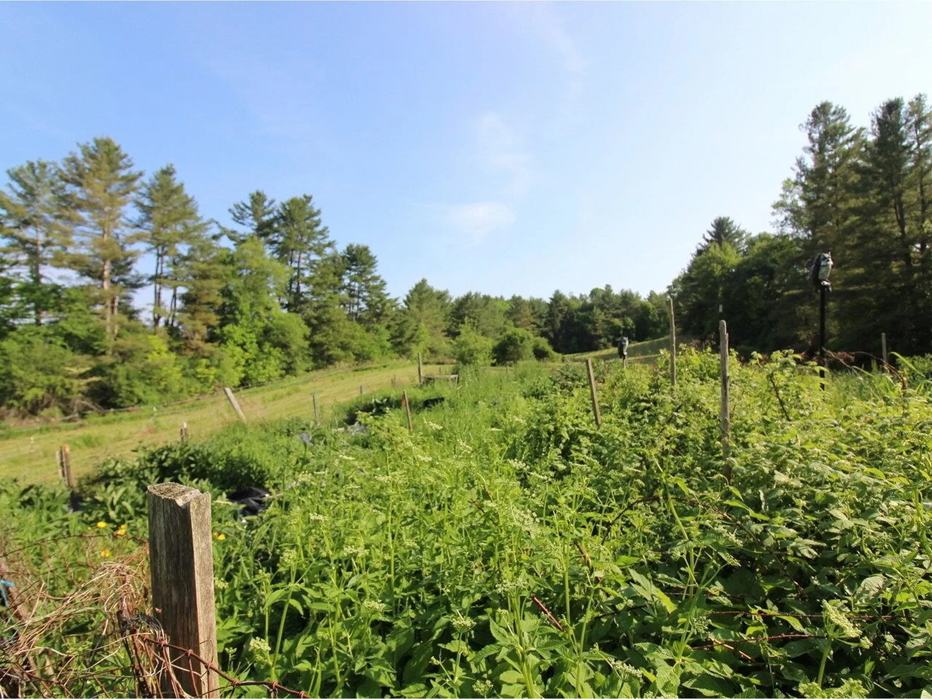 152 Butternut Road Williston VT 05495