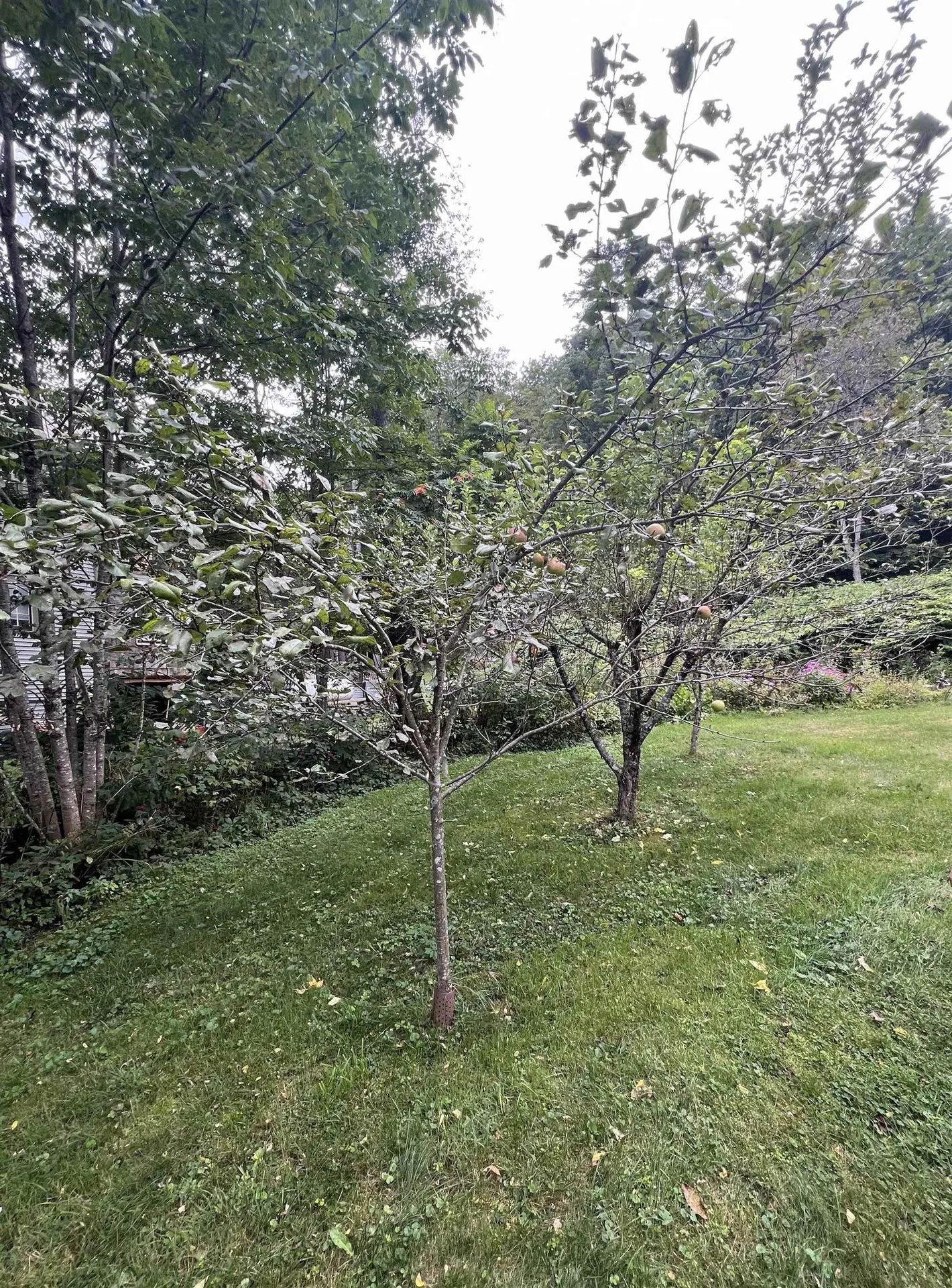 14 Barker Road Thetford VT 05058