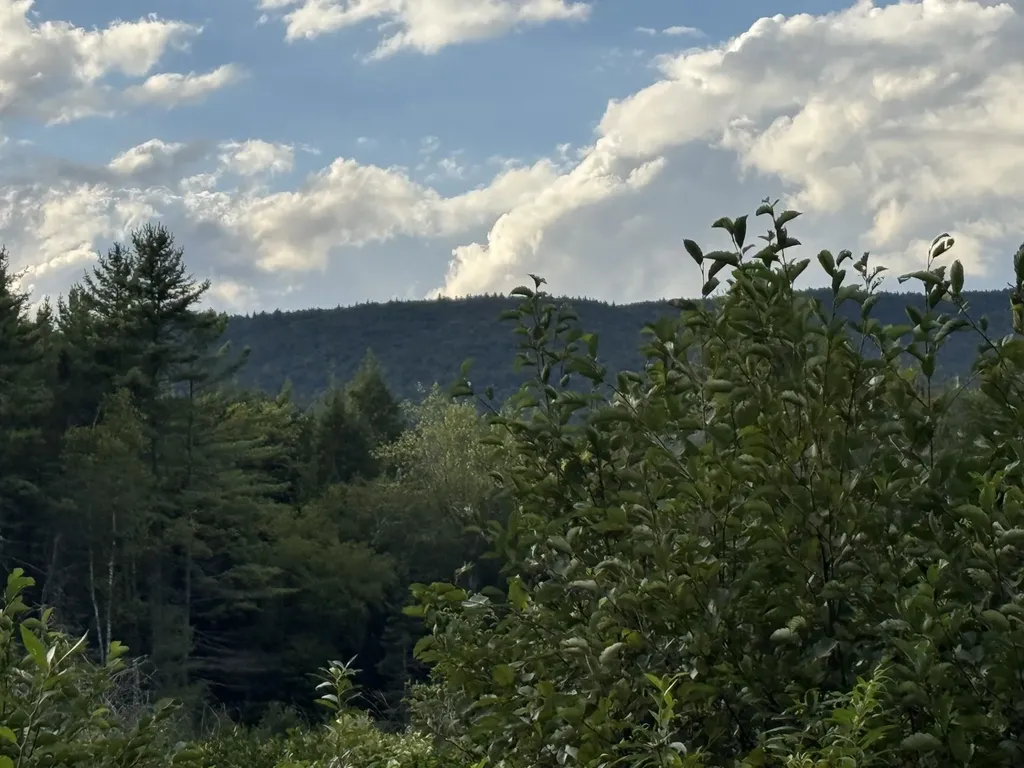 Cape Moonshine Road Piermont NH 03779