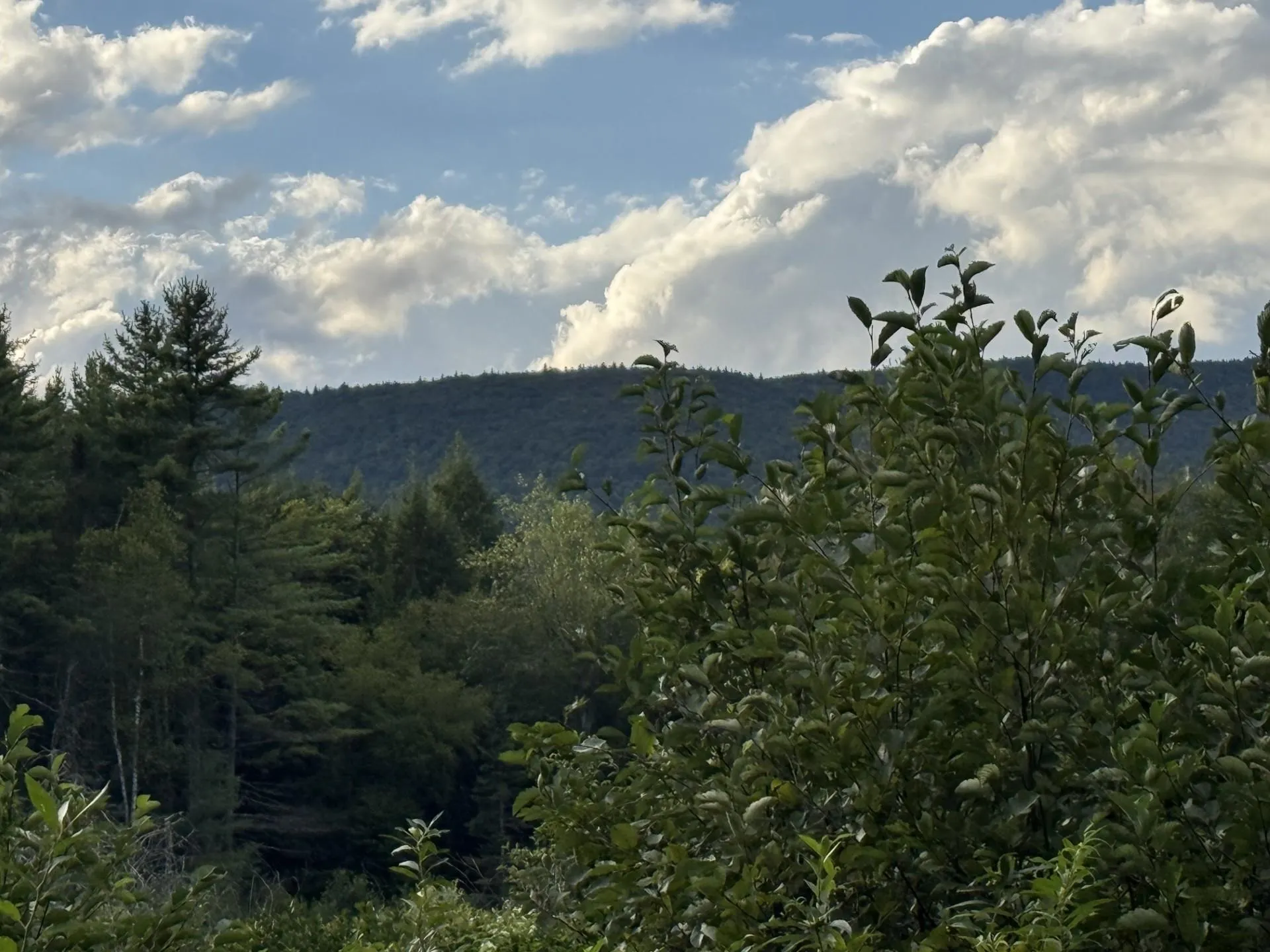 Cape Moonshine Road Piermont NH 03779