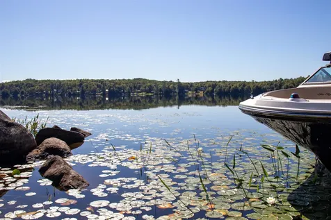 113 Renfrew Lane Concord VT 05824