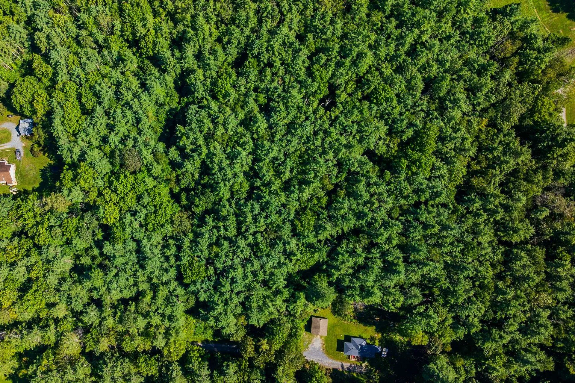 1 & 2 Joy Lane Arlington VT 05250