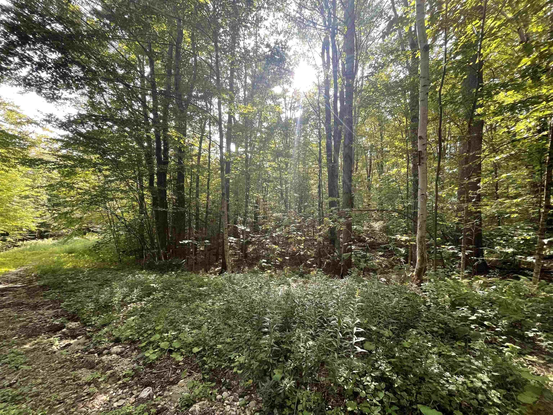 000 Wonder Lane Jamaica VT 05343