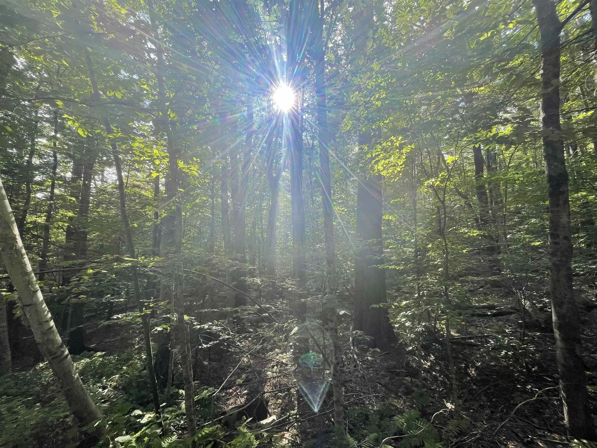 000 Wonder Lane Jamaica VT 05343