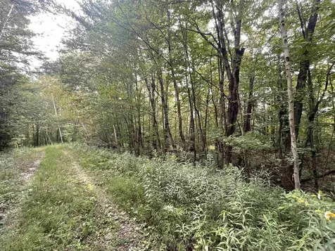 000 Wonder Lane Jamaica VT 05343