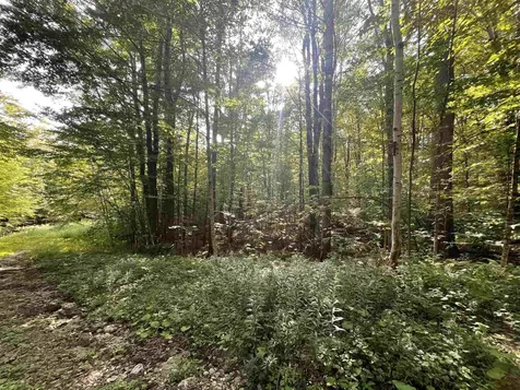 000 Wonder Lane Jamaica VT 05343