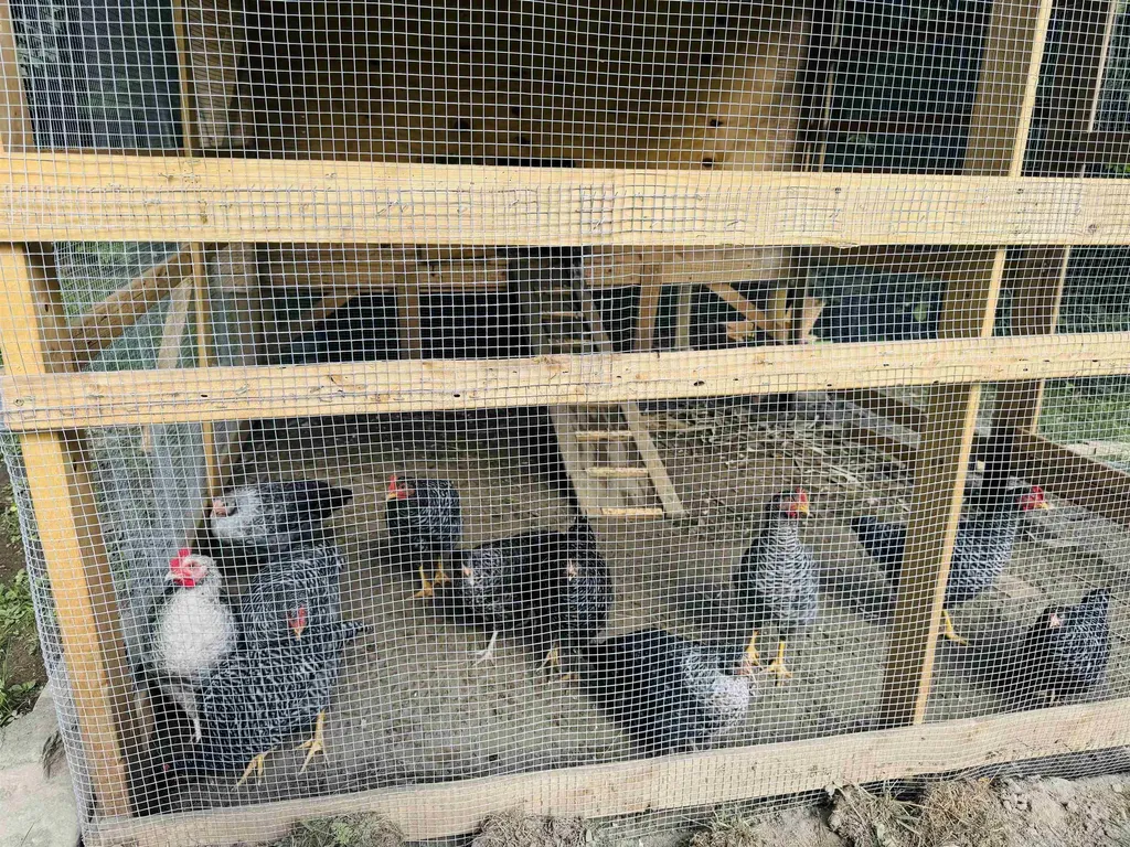 1352 Mud Hollow Road Kirby VT 05824