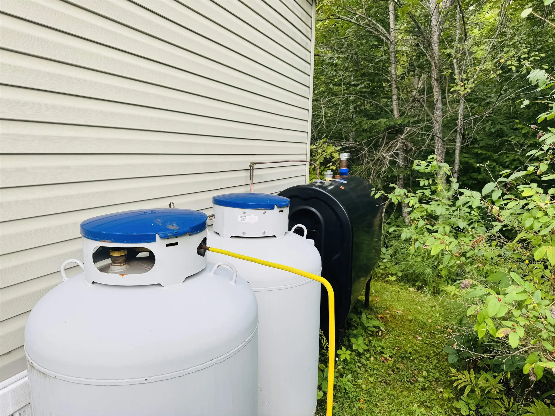 1352 Mud Hollow Road Kirby VT 05824