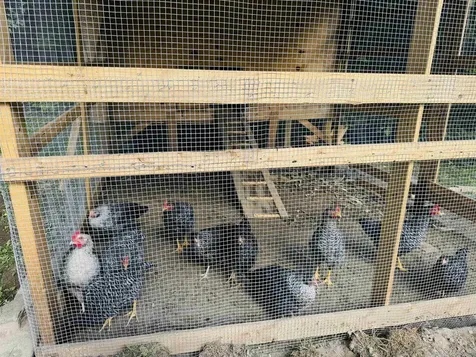 1352 Mud Hollow Road Kirby VT 05824