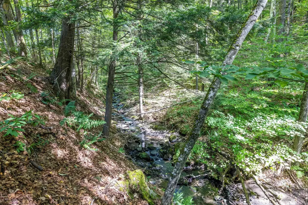 3525 Beaver Meadow Road Sharon VT 05065