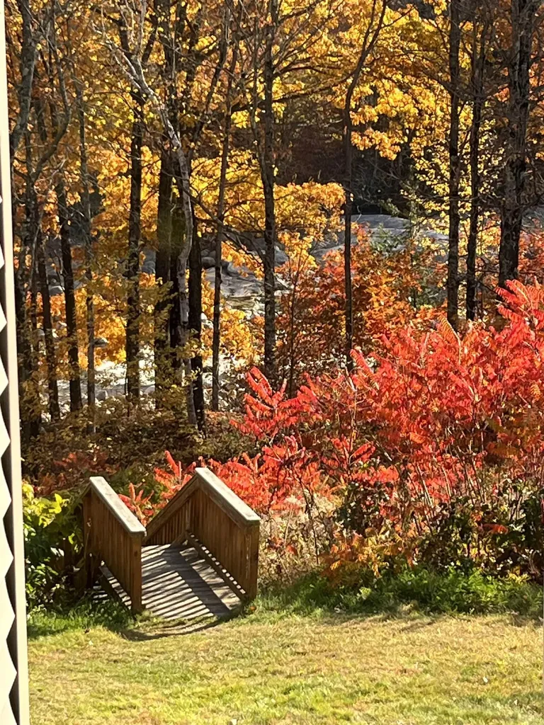 36 Lodge Road Lincoln NH 03251