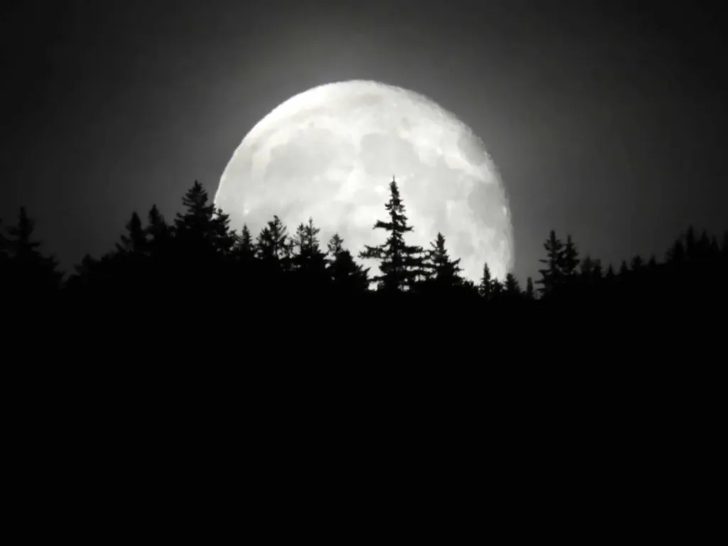 36 Lodge Road Lincoln NH 03251