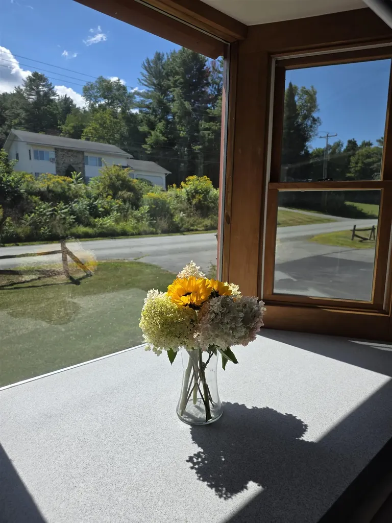 1065 Higgins Hill Road St. Johnsbury VT 05819