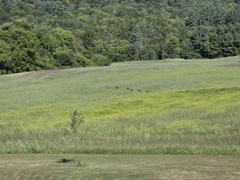 1065 Higgins Hill Road St. Johnsbury VT 05819