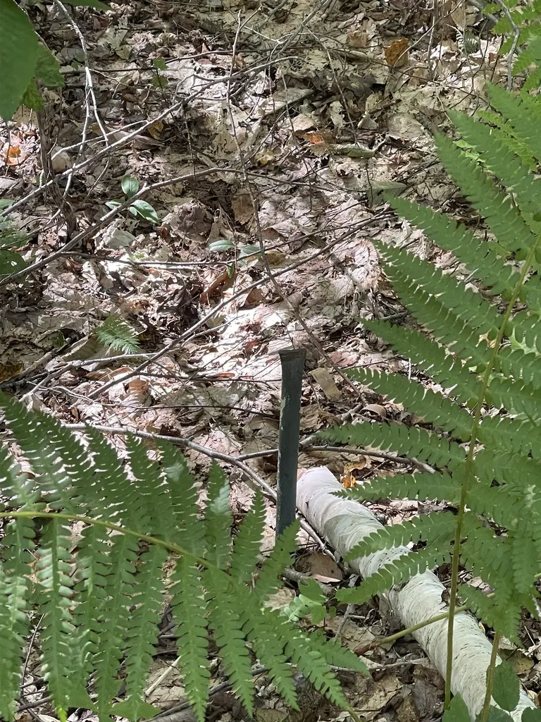 0000 Wonder Lane Jamaica VT 05343