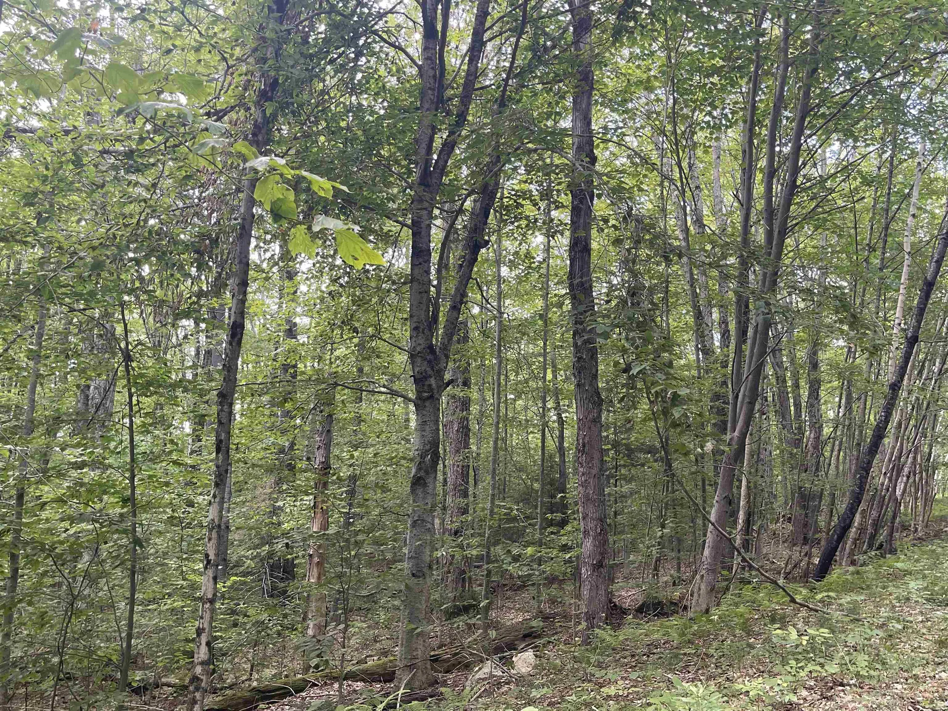 0000 Wonder Lane Jamaica VT 05343