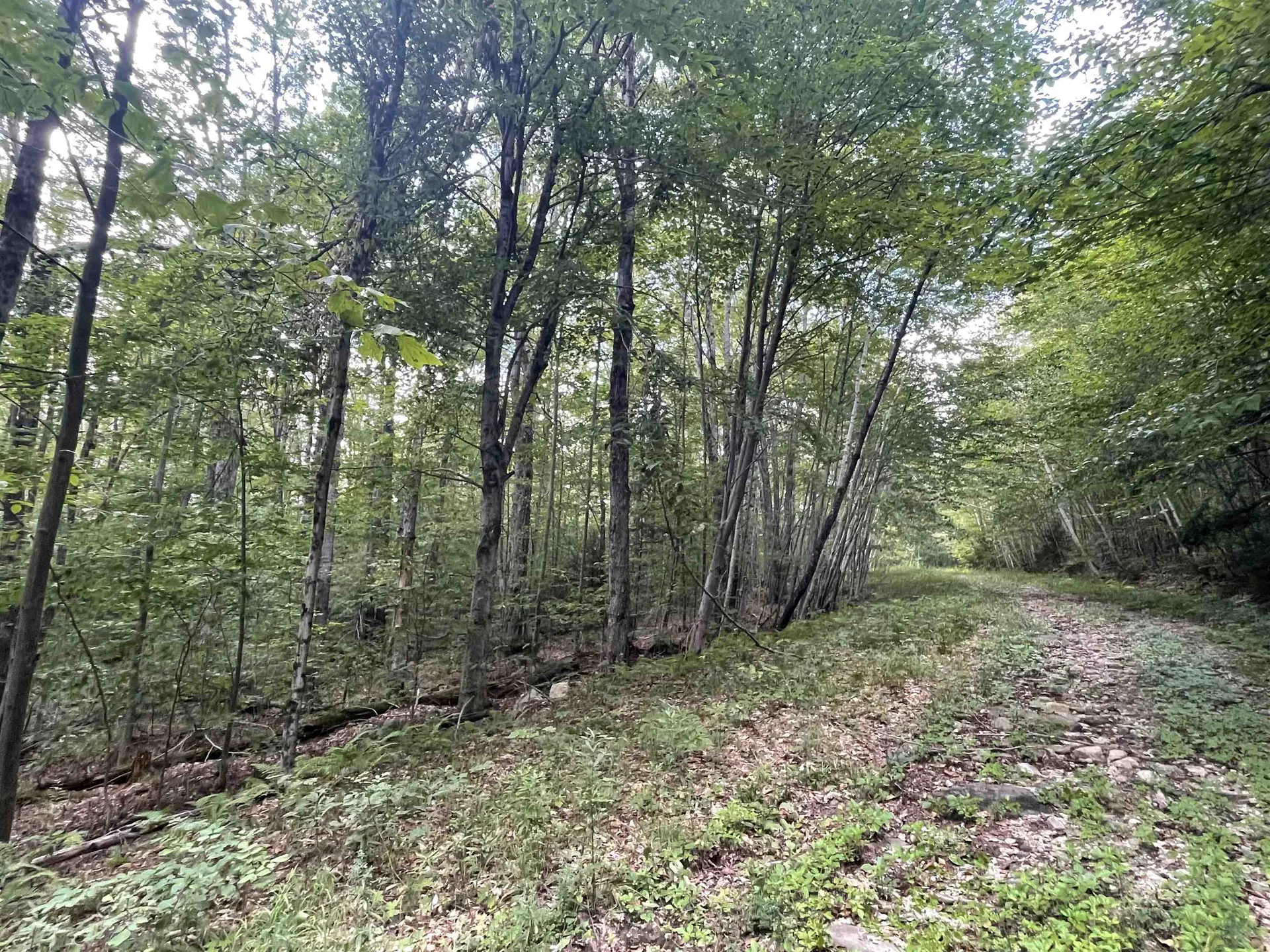 0000 Wonder Lane Jamaica VT 05343