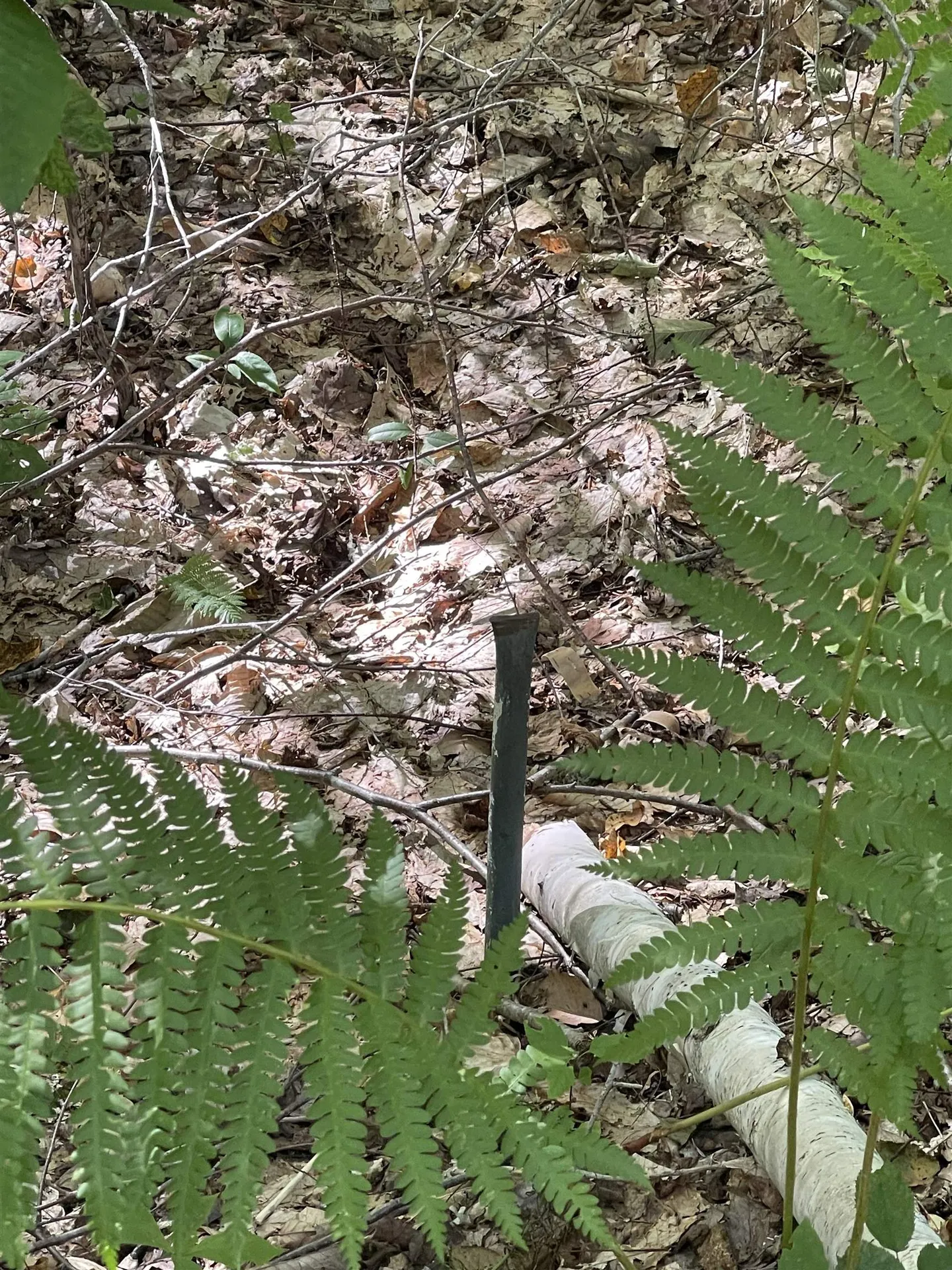 0000 Wonder Lane Jamaica VT 05343