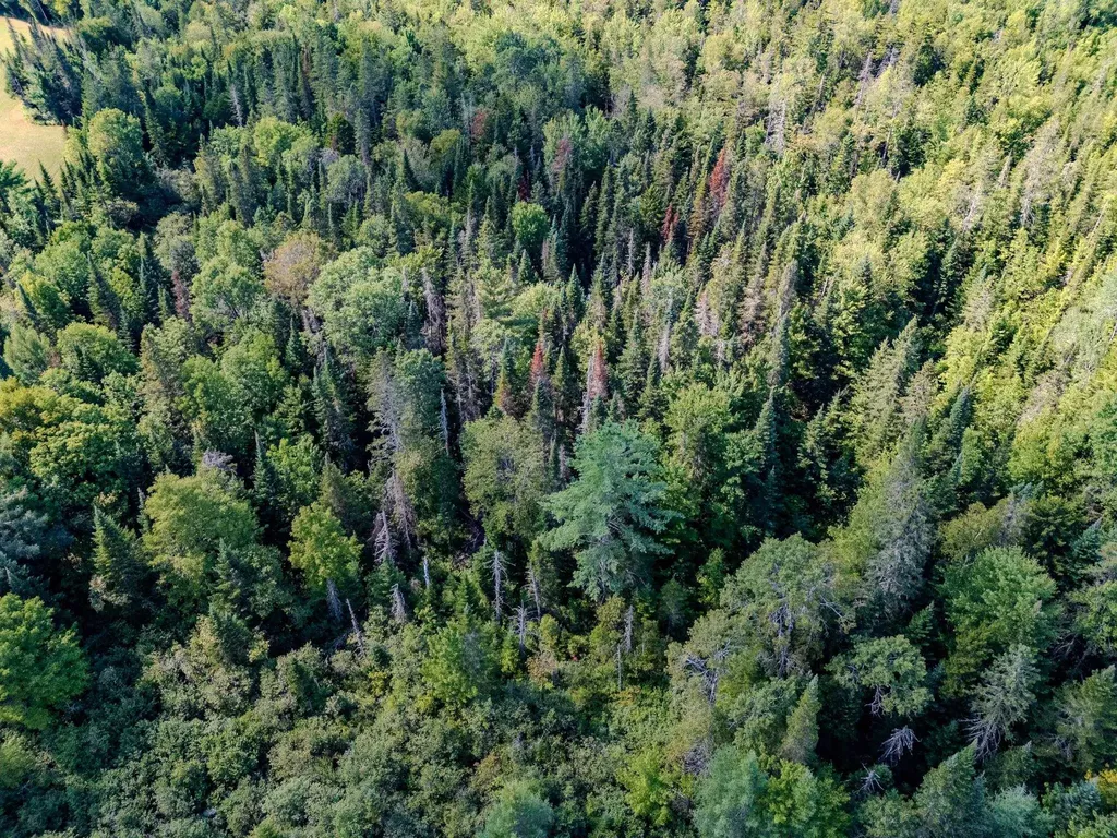 00 Henshaw Road Brighton VT 05846