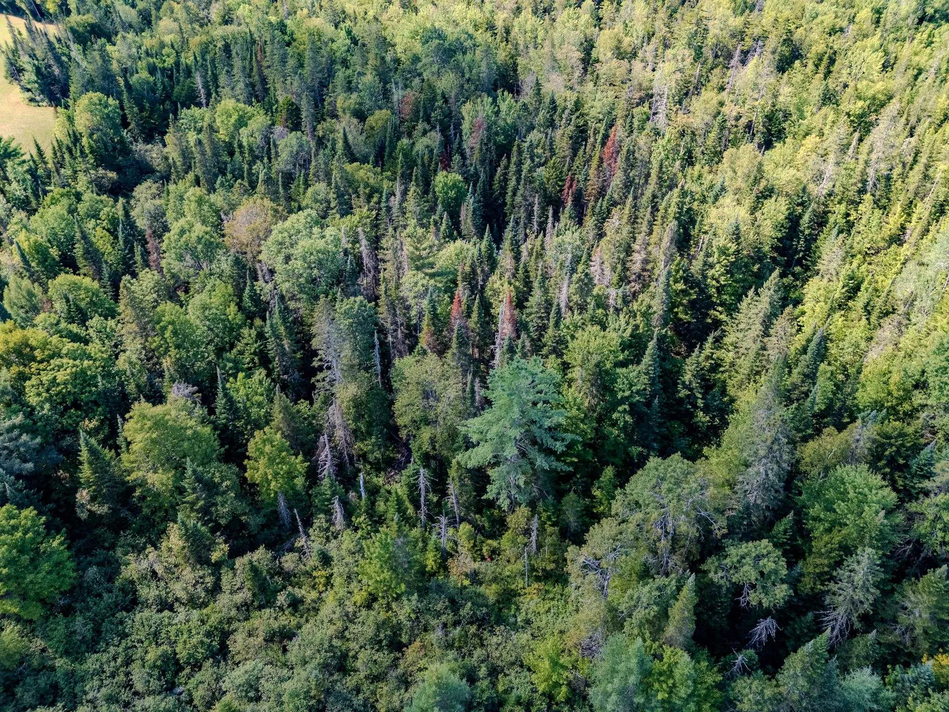 00 Henshaw Road Brighton VT 05846