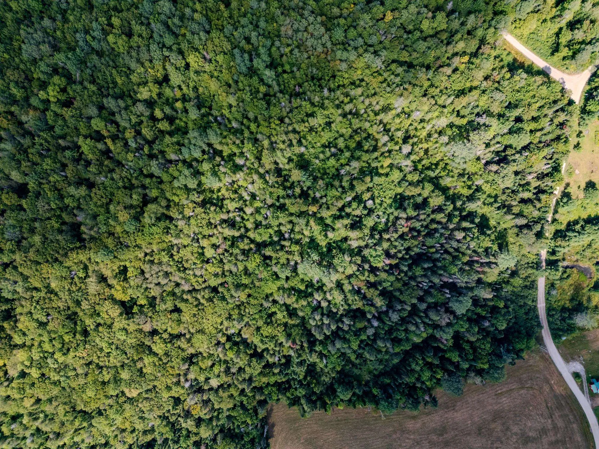 00 Henshaw Road Brighton VT 05846