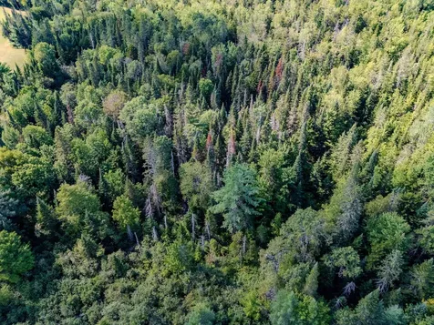 00 Henshaw Road Brighton VT 05846