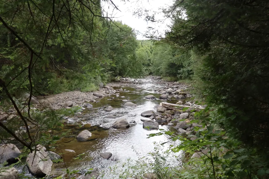 938 Vt Route 114 East Haven VT 05837