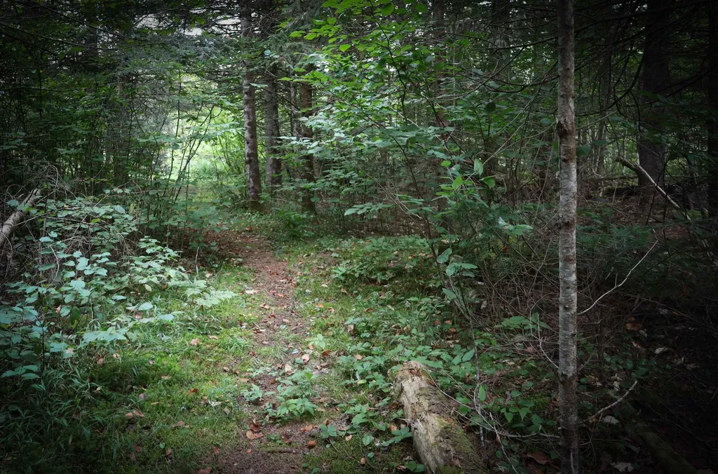 938 Vt Route 114 East Haven VT 05837