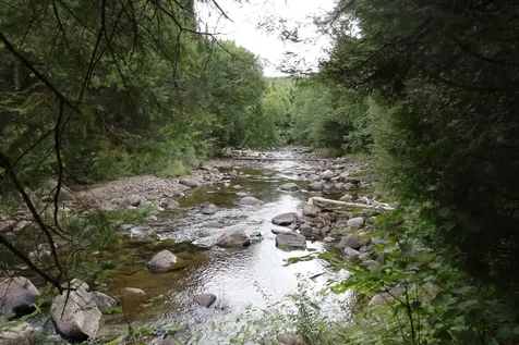 938 Vt Route 114 East Haven VT 05837