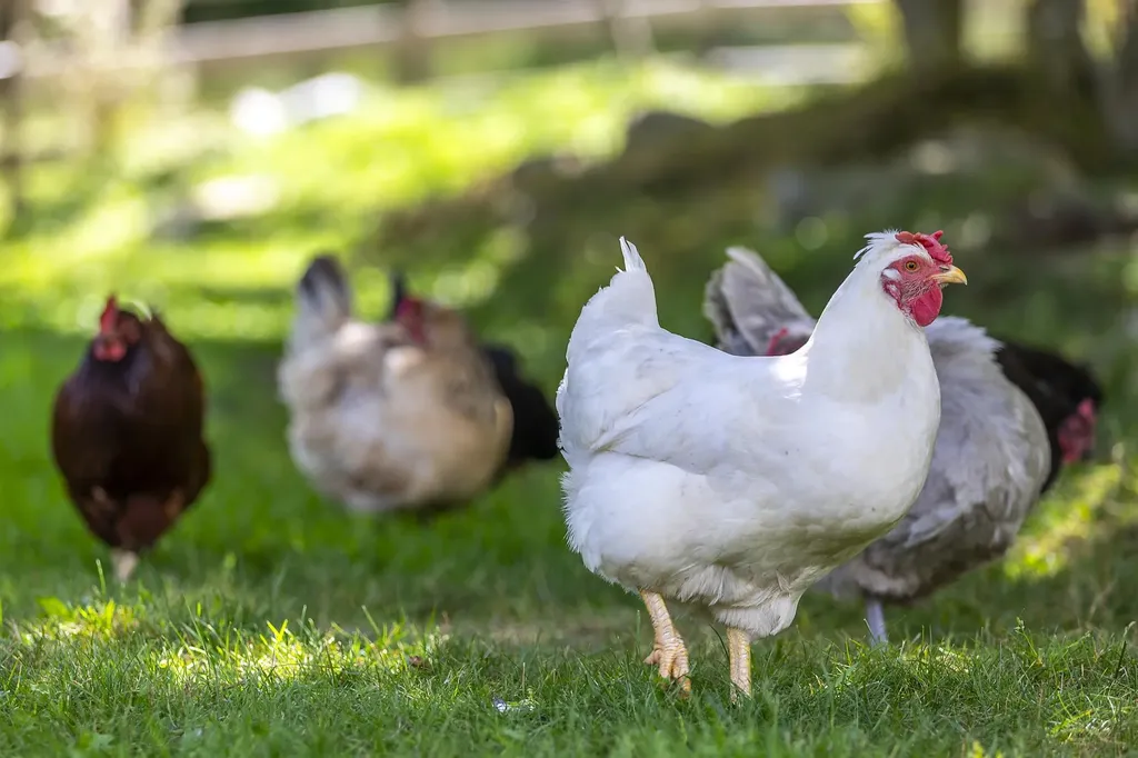 68 Flatow Road Ludlow VT 05149