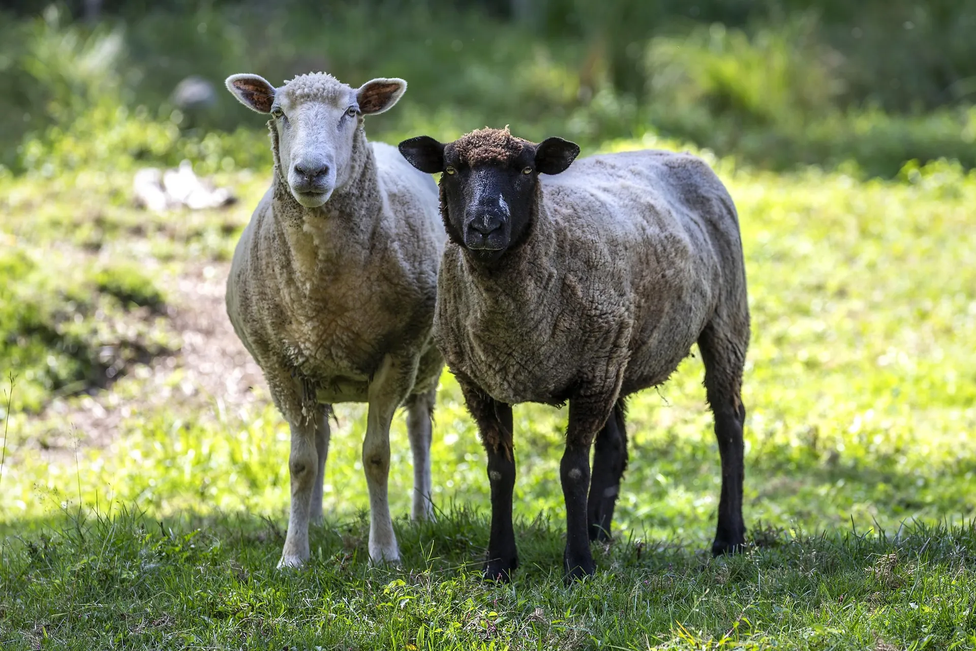 68 Flatow Road Ludlow VT 05149