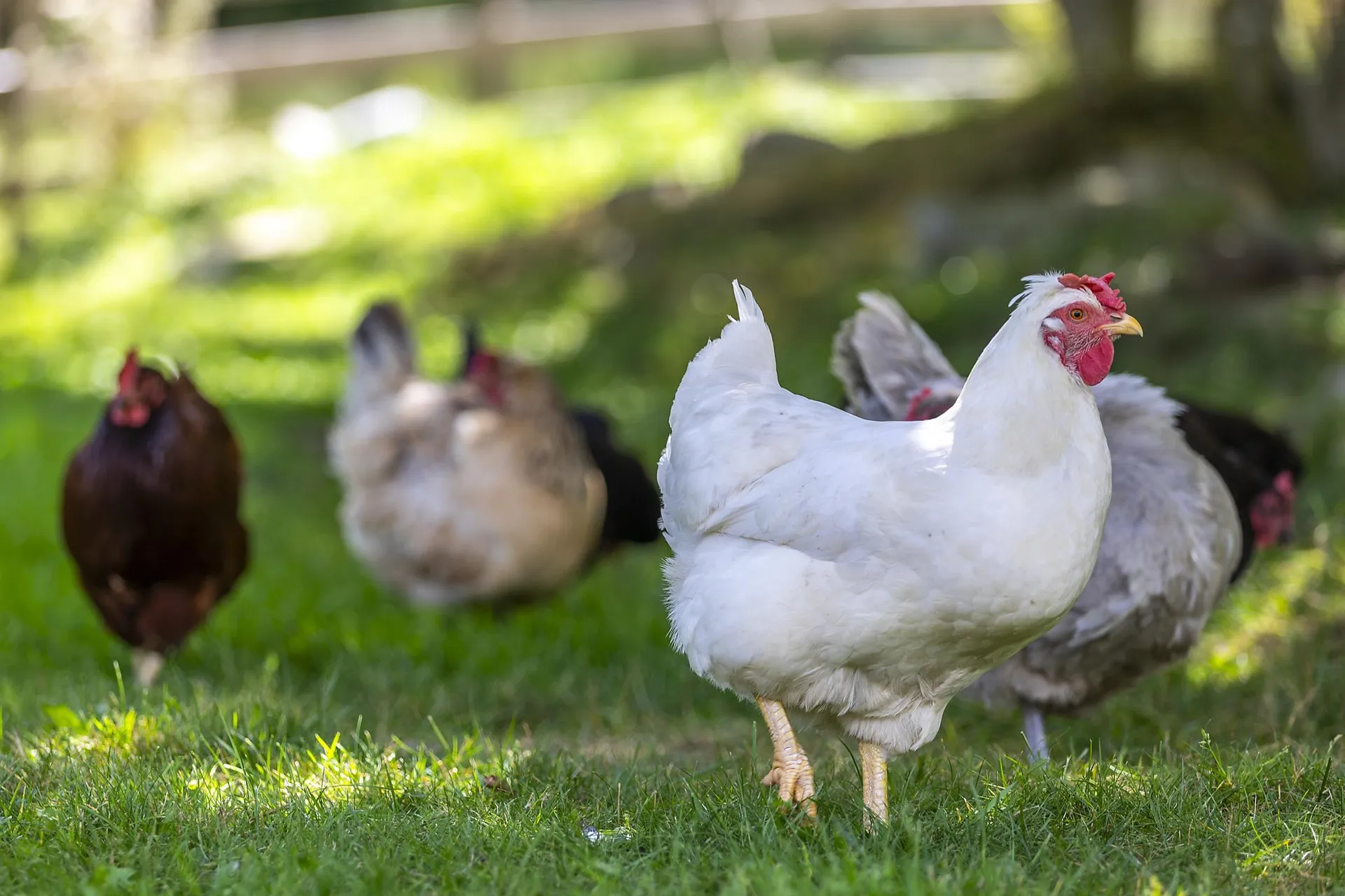 68 Flatow Road Ludlow VT 05149