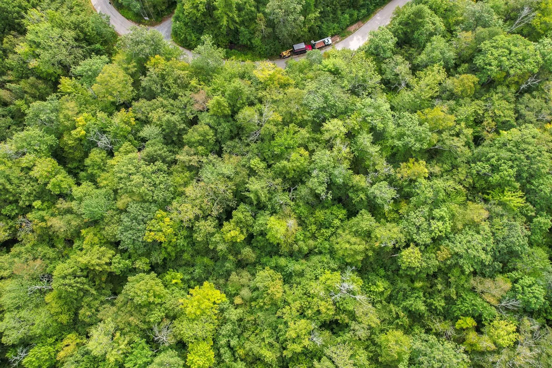 00 Ledgewood Circle Hebron NH 03241