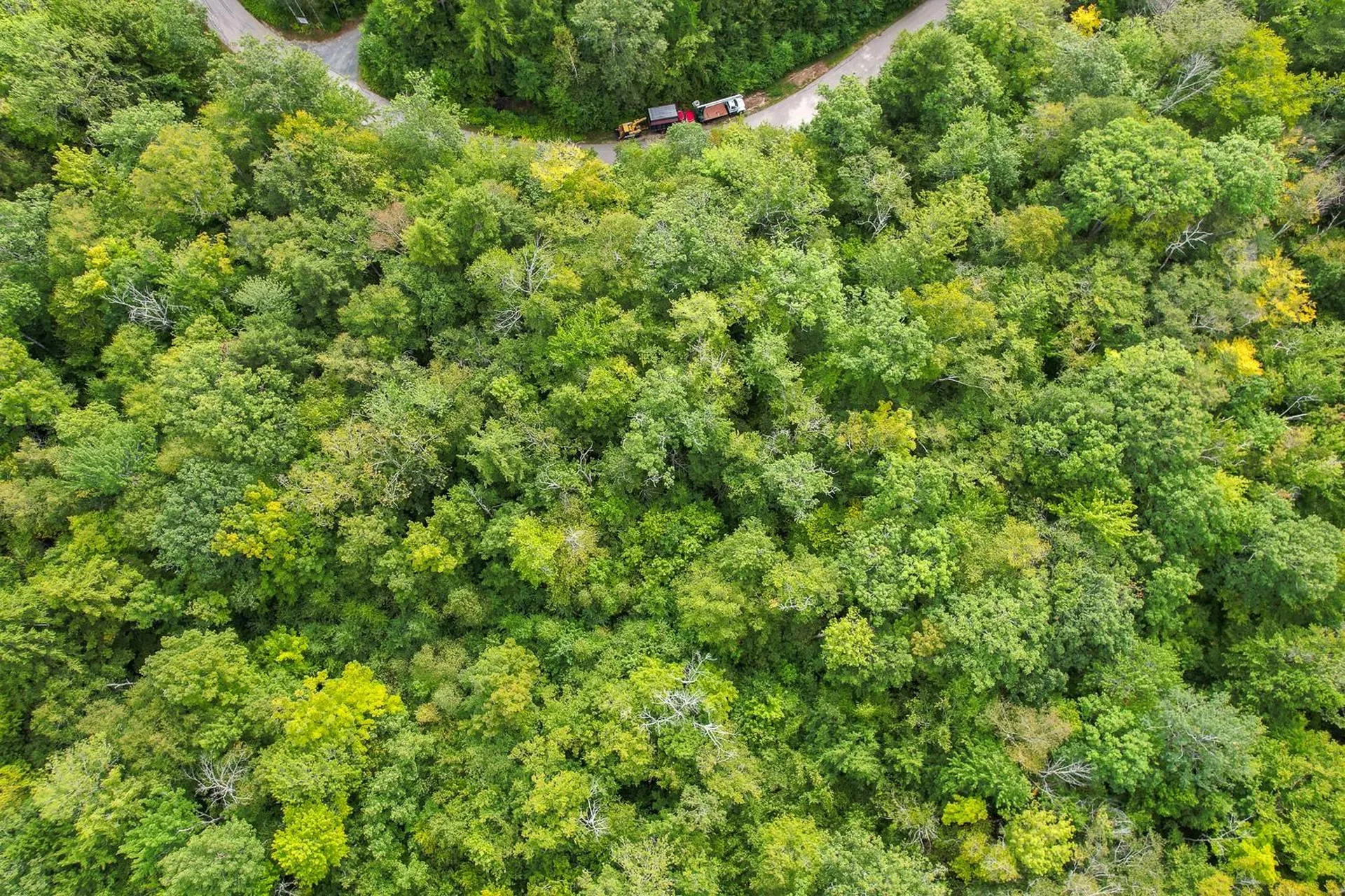 00 Ledgewood Circle Hebron NH 03241