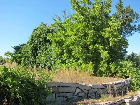 282-284 N State Street Concord NH 03301