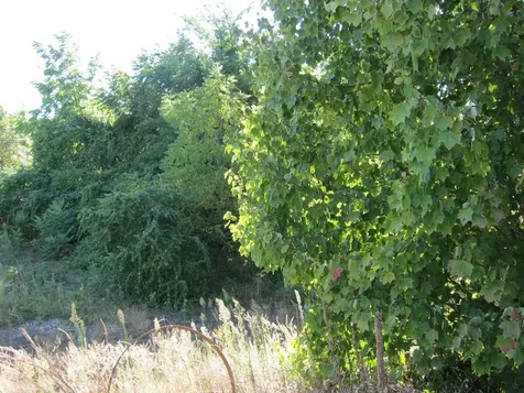 282-284 N State Street Concord NH 03301