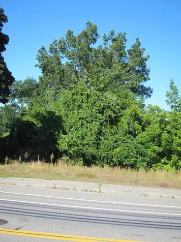 282-284 N State Street Concord NH 03301