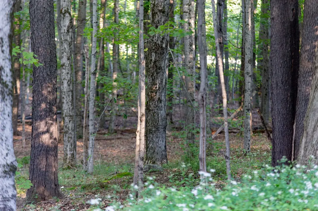 115 Upper Jaffrey Road Dublin NH 03444