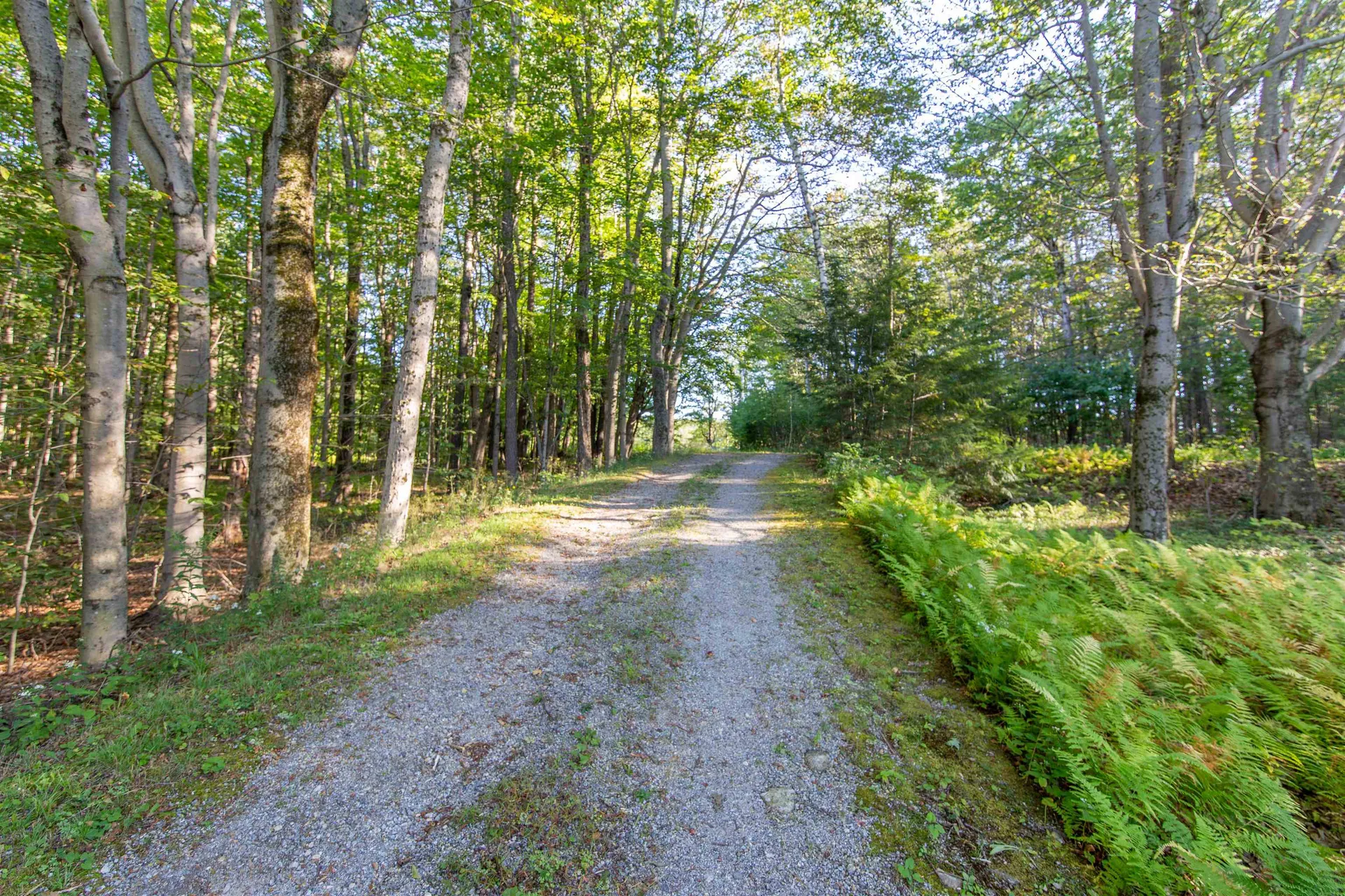 115 Upper Jaffrey Road Dublin NH 03444