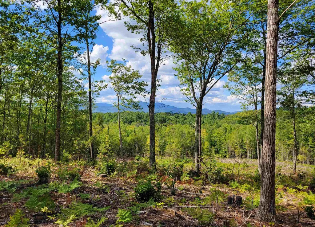 238-1-1.3 Maple Grove Road Madison NH 03849