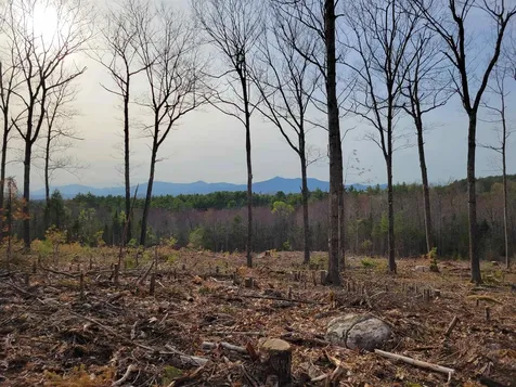 238-1-1.3 Maple Grove Road Madison NH 03849