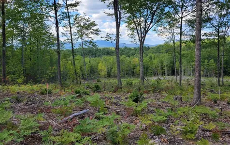 238-1-1.3 Maple Grove Road Madison NH 03849