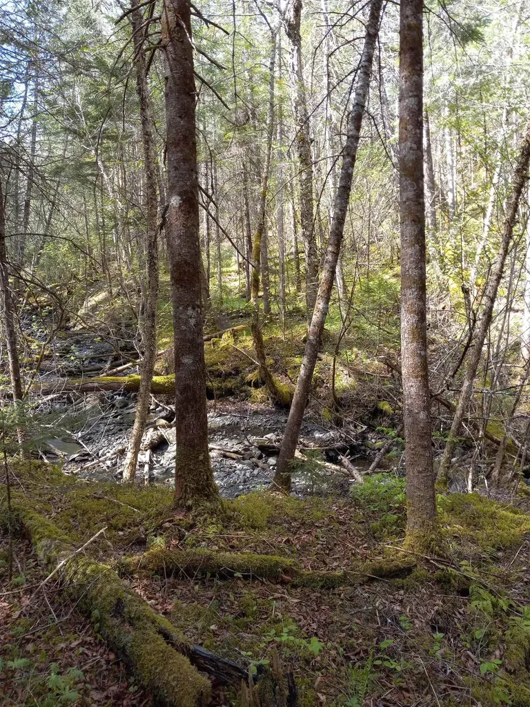 - Harry's Way Colebrook NH 03576