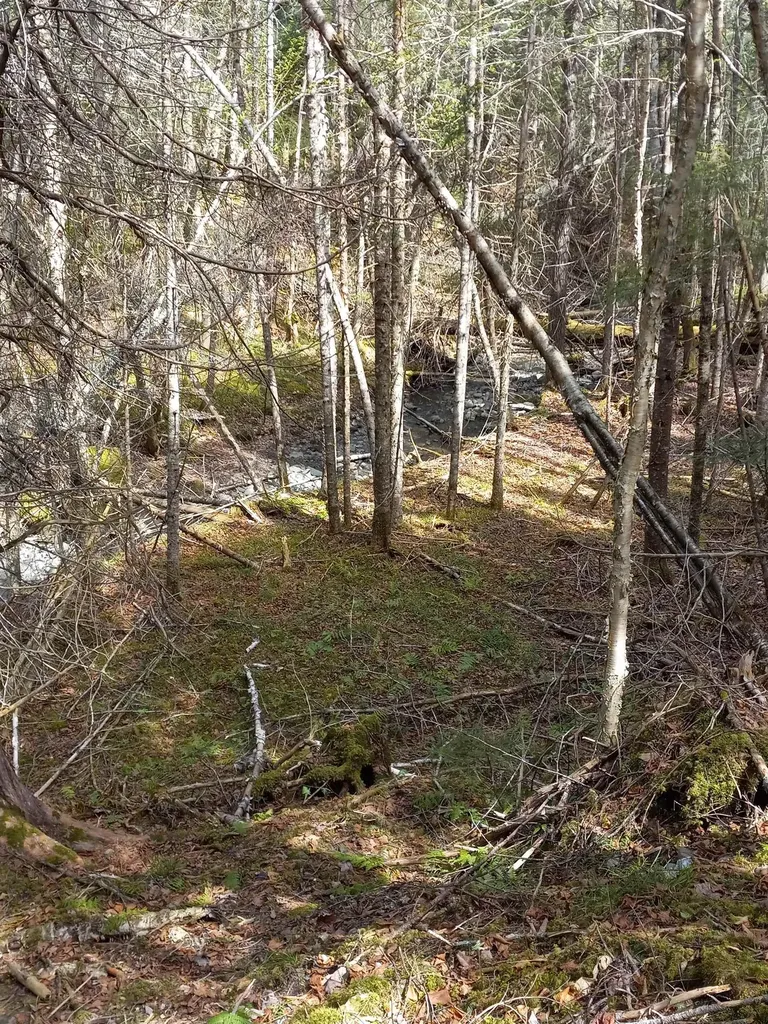 - Harry's Way Colebrook NH 03576