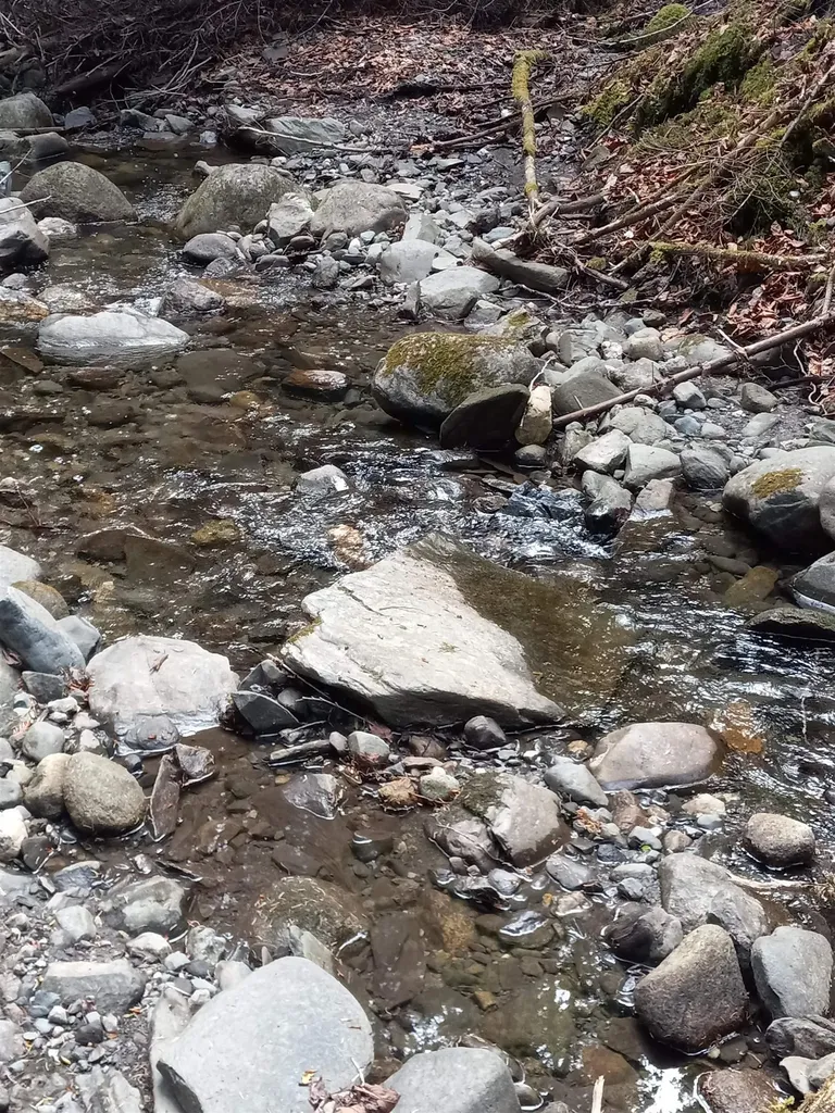 - Harry's Way Colebrook NH 03576