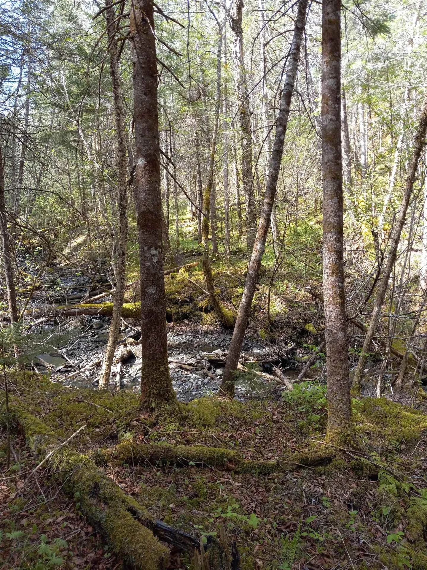 - Harry's Way Colebrook NH 03576