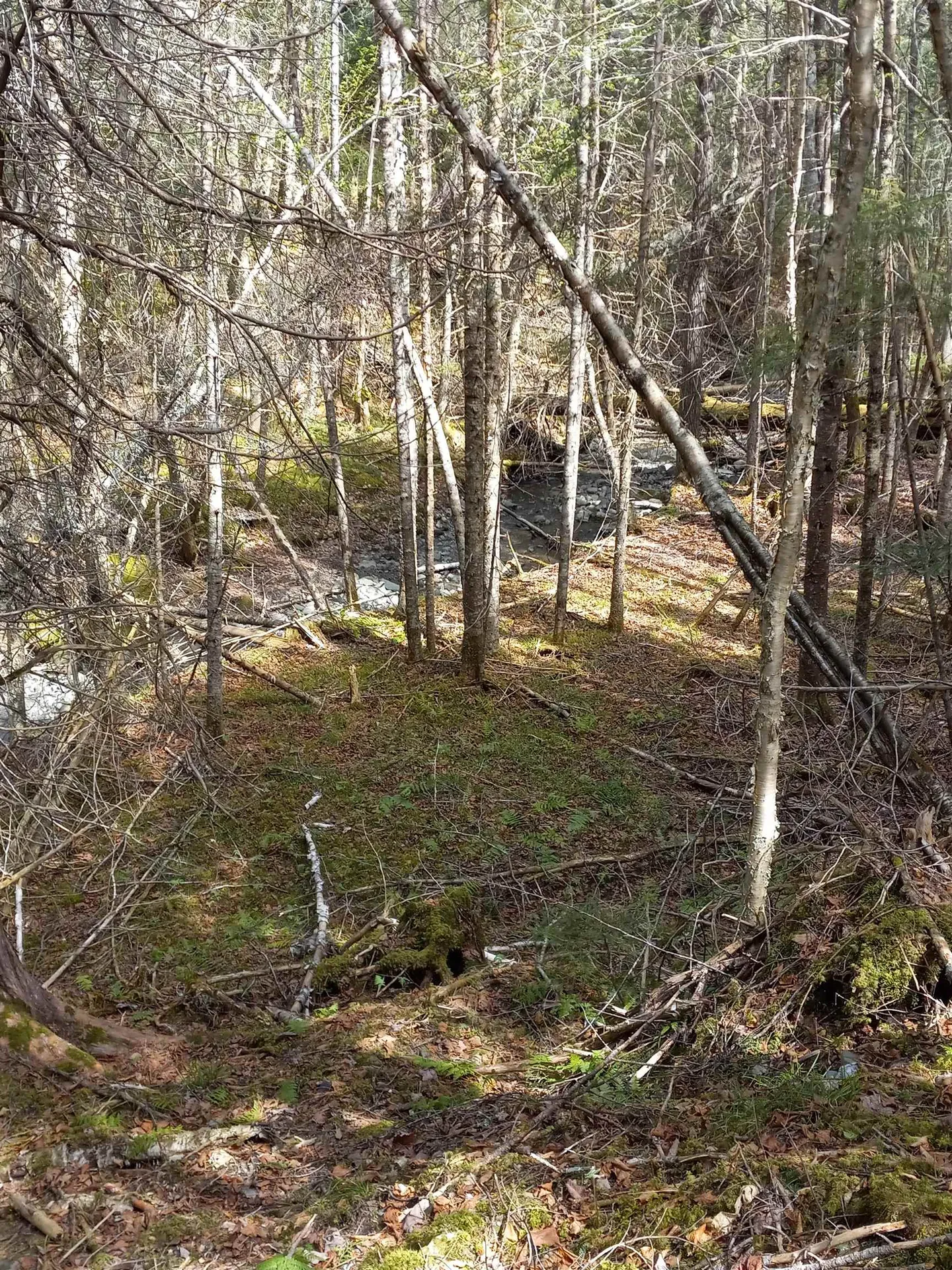 - Harry's Way Colebrook NH 03576