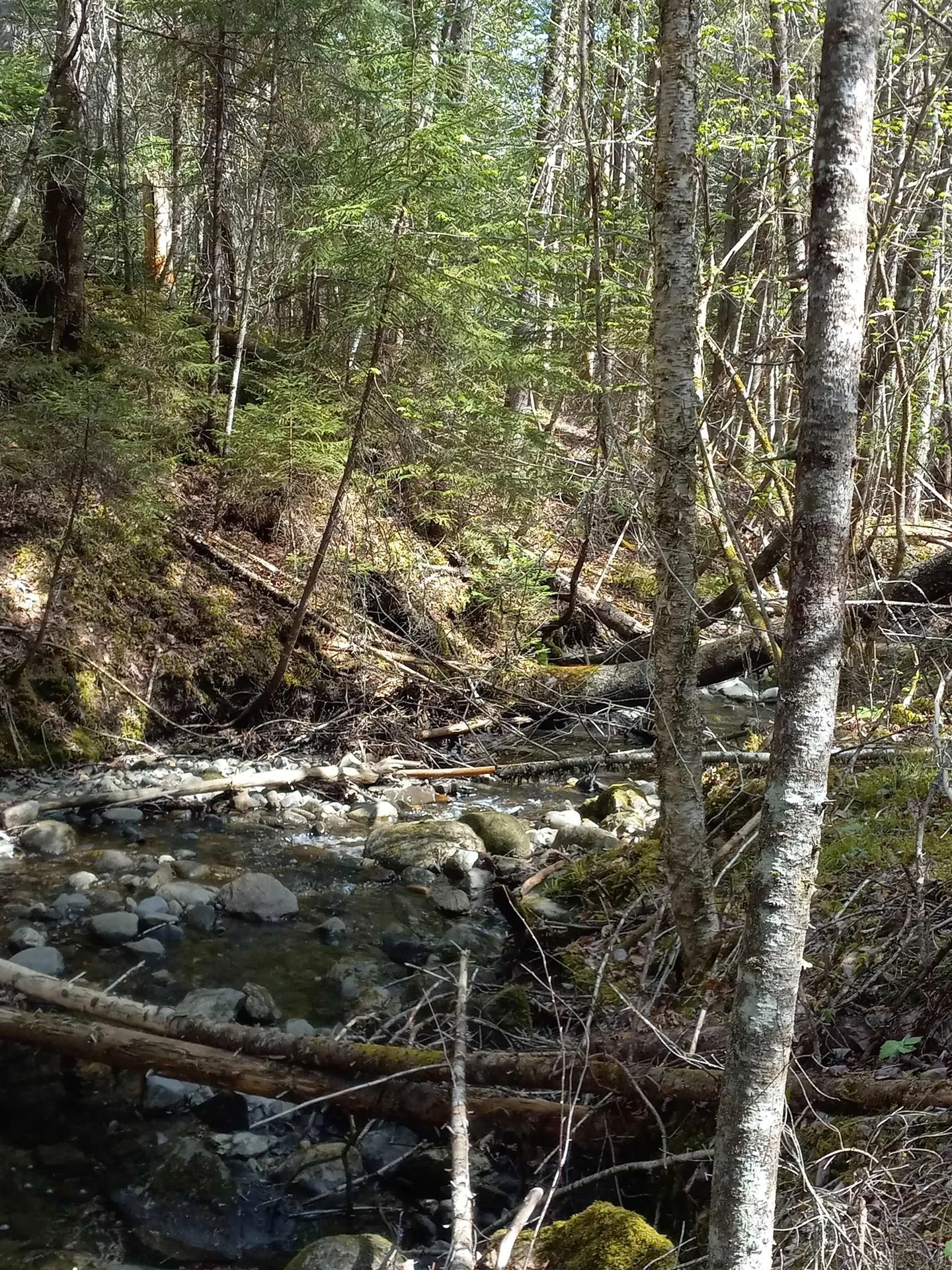 - Harry's Way Colebrook NH 03576
